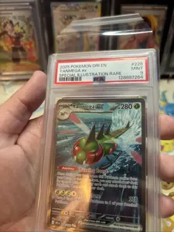 Pokemon Yanmega Ex Destined Rivals 228/182 Special illustration Rare PSA 9 Mint - Image 4