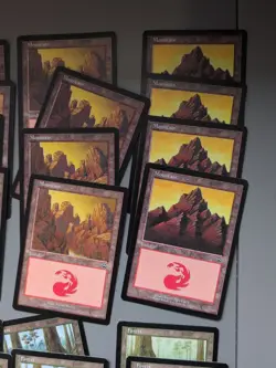 MTG 80 Mercadian Masques Basic Land Card Lot. Full Compete Playsets . As Shown - Image 3