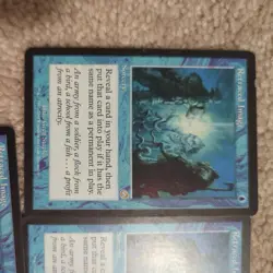 3x MTG English Retraced Image LP Normal Torment - Image 3