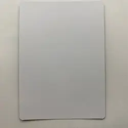 WIZARDS OF THE COAST MTG Dan Scott Signed Proof Card Ravenous Squirrel - Image 4