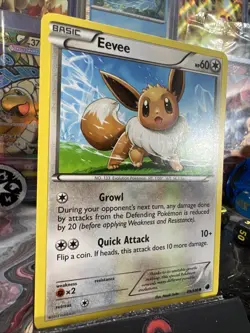 Eevee Plasma Freeze 89/116 Regular Common Pokemon TCG - NM Condition - Image 3