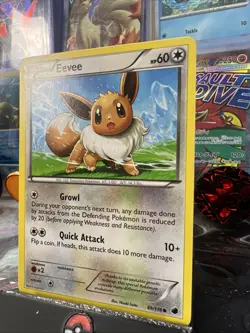 Eevee Plasma Freeze 89/116 Regular Common Pokemon TCG - NM Condition - Image 4