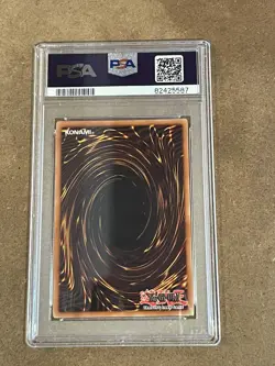 Berserk Dragon PSA 8.5 1st DCR-019 2003 Super Rare Dark Crisis Yugioh Card WR1 - Image 2