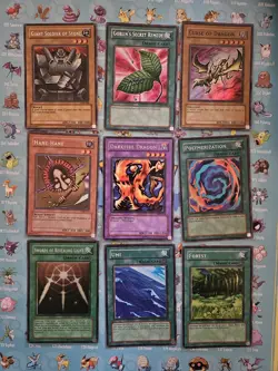 private listing for schloast Yu-Gi-Oh Lot - Image 1