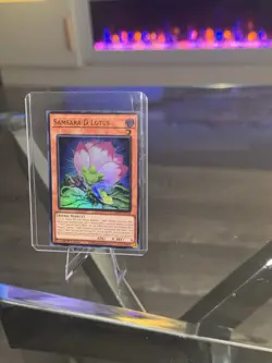 x1 Samsara D Lotus - MP25-EN152 - Ultra Rare - 1st Edition Yu-Gi-Oh! M/NM - Image 3