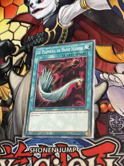 Yu-Gi-Oh ! Le Plumeau de Dame Harpie SDBT-FR026 VF/COMMUNE Neuve 1st - Image 1