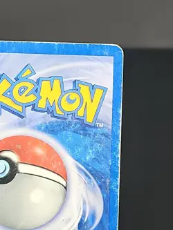 Ledyba - 7/18 - Holo Promo Southern Islands - Pokemon Card - HP - Swirl - Image 4
