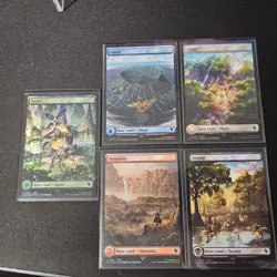 MTG - Chocobo Track Lands - Foil - Set of 5 (one of each basic) - NM 478-482 - Image 1