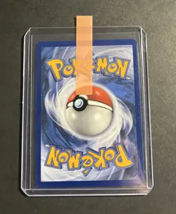 Gengar - (Prerelease) SWSH241 SWSH: Sword & Shield Promo Cards Holo NM - Image 2