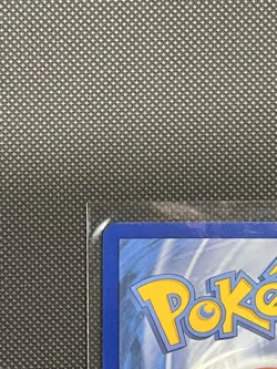 Pokemon TCG Squirtle 170/165 Scarlet & Violet 151 Illustration Rare Holo Card NM - Image 3
