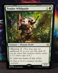 magic the gathering - Tender Wildguide - Creature - Possum Druid - Rare - Green - Image 1