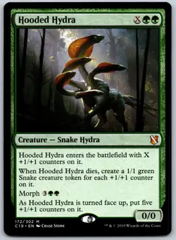 Hooded Hydra M Commander 2019 172 NM - Image 1
