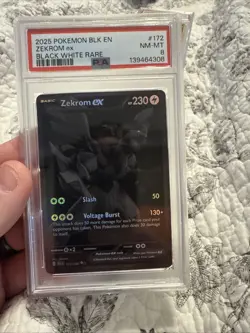 Pokemon Zekrom EX Black Bolt 172/086 BWR English TCG Card NM PSA 8 NM-MT Rare - Image 1