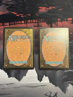 Windborn Muse Legions Magic the Gathering MTG Lightly played X1 MP X1 - Image 4