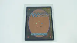 MTG Fierce Guardianship NM BORDERLESS Avatar The Last Airbender - Image 2