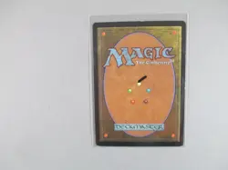 MTG -Karplusan Forest - Fifth Edition (5ED) NMT - Image 2