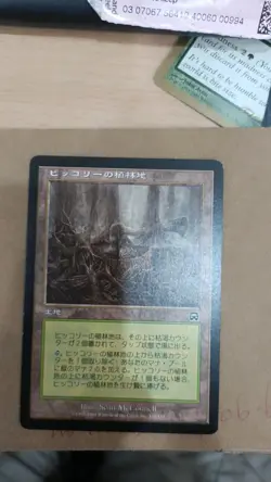 Hickory Woodlot MTG Mercadian Masques JAP - Image 1
