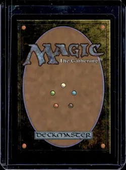 2025 Magic The Gathering Lo & Li, Royal Advisors Avatar The Last Airbender #0189 - Image 2