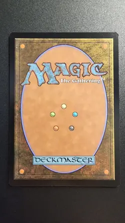 Reflecting Pool The List Reprints Regular - Image 2