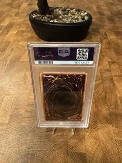 2015 Yu-Gi-Oh! Dark Magician Girl DPBC-EN009 1st Edition PSA 10 GEM MINT - Image 2