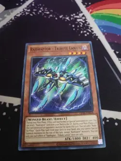 Yu-Gi-Oh! Raidraptor- Tribute Lanius OP24-EN018 Common Unlimited NM - Image 1