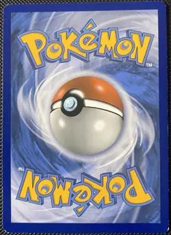 Rockruff SM06 Sm Holo - Pokemon Card - Image 2