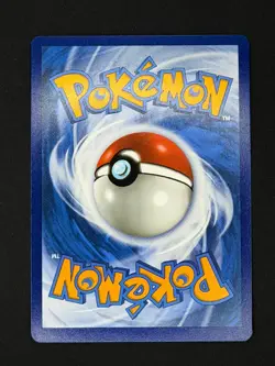 Squawkabilly ex 264/193 Special Illustration Rare - Paldea Evolved - NM - Image 2