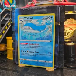 Wailord Silver Tempest Pokemon TCG 038/195 Sword & Shield Uncommon - Image 2