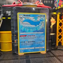 Wailord Silver Tempest Pokemon TCG 038/195 Sword & Shield Uncommon - Image 3