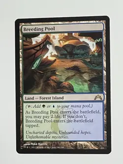 Breeding Pool - Gatecrash - Regular LP Magic the Gathering MTG - Image 2