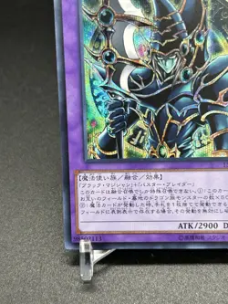 Dark Paladin 15AX-JPY38 Secret Rare Japanese Yugioh Yu-Gi-Oh! KONAMI - Image 4
