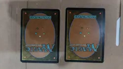 MTG a litter broken Planar Chaos - Wild Pair MP - Image 3