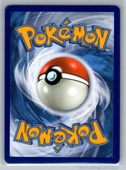 Froakie SV11/SV94 Shiny Holo Rare Hidden Fates: Shiny Vault Pokemon TCG NM - Image 2