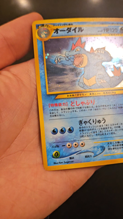 Feraligatr (Holo), Croconaw, Totodile Pokemon Neo Premium File 1 (Japanese) - LP - Image 2
