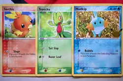 Pokemon First Partner JUMBO 3x Hoenn Starters Torchic Treecko Mudkip - Image 1