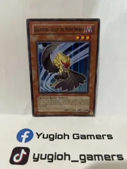 Yu-Gi-Oh BLACKWING-KALUT THE MOON SHADOW RGBT-EN012 1st EDITION COMMON LP - Image 1