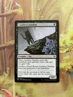 Near Mint, English - 1 x MTG Cauldron Familiar Throne of Eldraine - Image 1