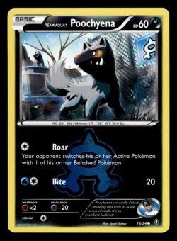 Team Aqua's Poochyena 16/34 Reverse Holo Double Crisis Pokemon Card - Image 1