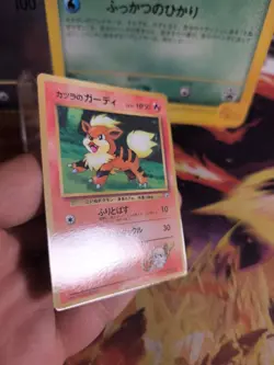 Pokemon Karte Card Blaine's Growlithe Fukano Gym Corocoro Promo japanese NM+ - Image 4