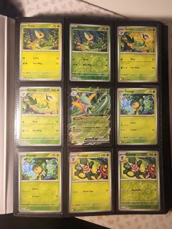 Pokemon Black Bolt/White Flare Near Complete Master Sets - MINT - SIR/EX/PROMOS - Image 2