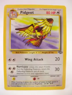 Pidgeot 24/64 Jungle Rare Non-Holo Vintage Pokemon TCG Card HP - Image 3