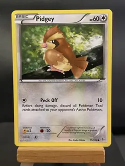 Pokemon Card Pidgey 75/106 XY Flashfire Non Holo Light Play - Image 1