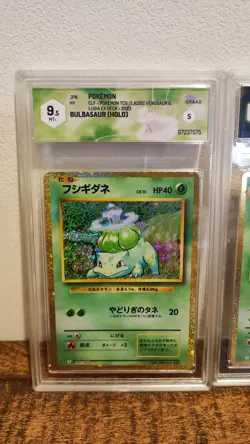 graded pokemon cards - Bulbasaur / Ivysaur /Venusaur 9.5 - CLF 2023 - Image 2