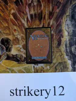 1x Adarkar Wastes - Ice Age - Signed by Mike Raabe in 1995 - MTG - Image 2