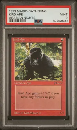 Kird Ape - Arabian Nights - MTG - Mint - PSA 9. More MTG in Store - Image 1