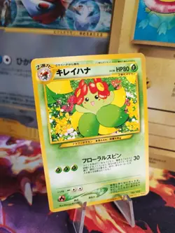 Pokemon Karte Card Blubella Bellossom Information Magazine Promo japanese NM - Image 1