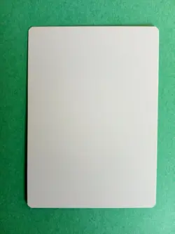 MTG Magic Pit Imp Signed Artist Proof x1 Tempest Phil Foglio - Image 2