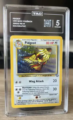 🕊 TAG 5 EX Pidgeot #8/64 - 1999 Pokemon Jungle Holo (Rare Vintage) - Image 1