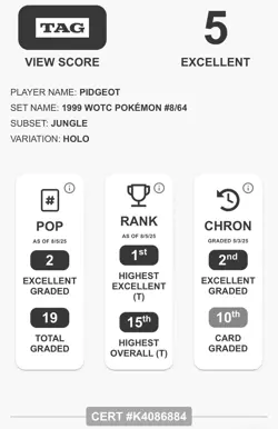 🕊 TAG 5 EX Pidgeot #8/64 - 1999 Pokemon Jungle Holo (Rare Vintage) - Image 3