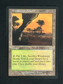 1x MTG Windswept Heath - Onslaught (ONS) #328 - Magic the Gathering - Image 1